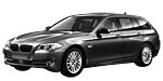 BMW F11 P100E Fault Code